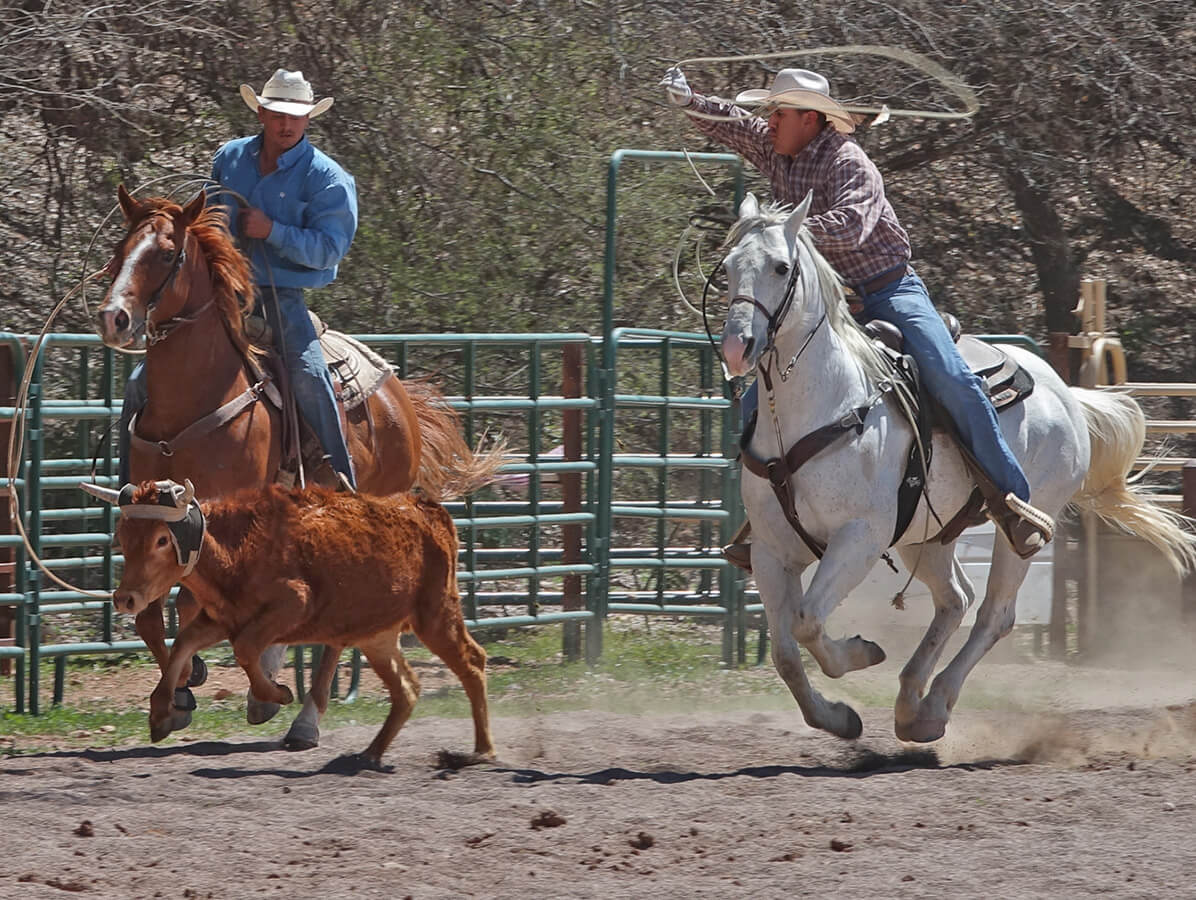 Roping Demonstrations