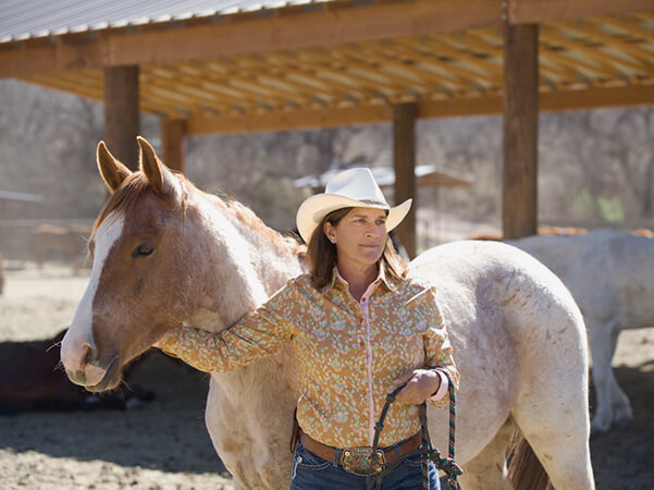 Our Horses