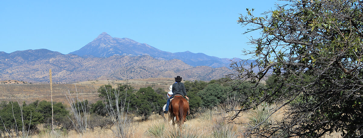 Chuck-Wagon Cookout Ride