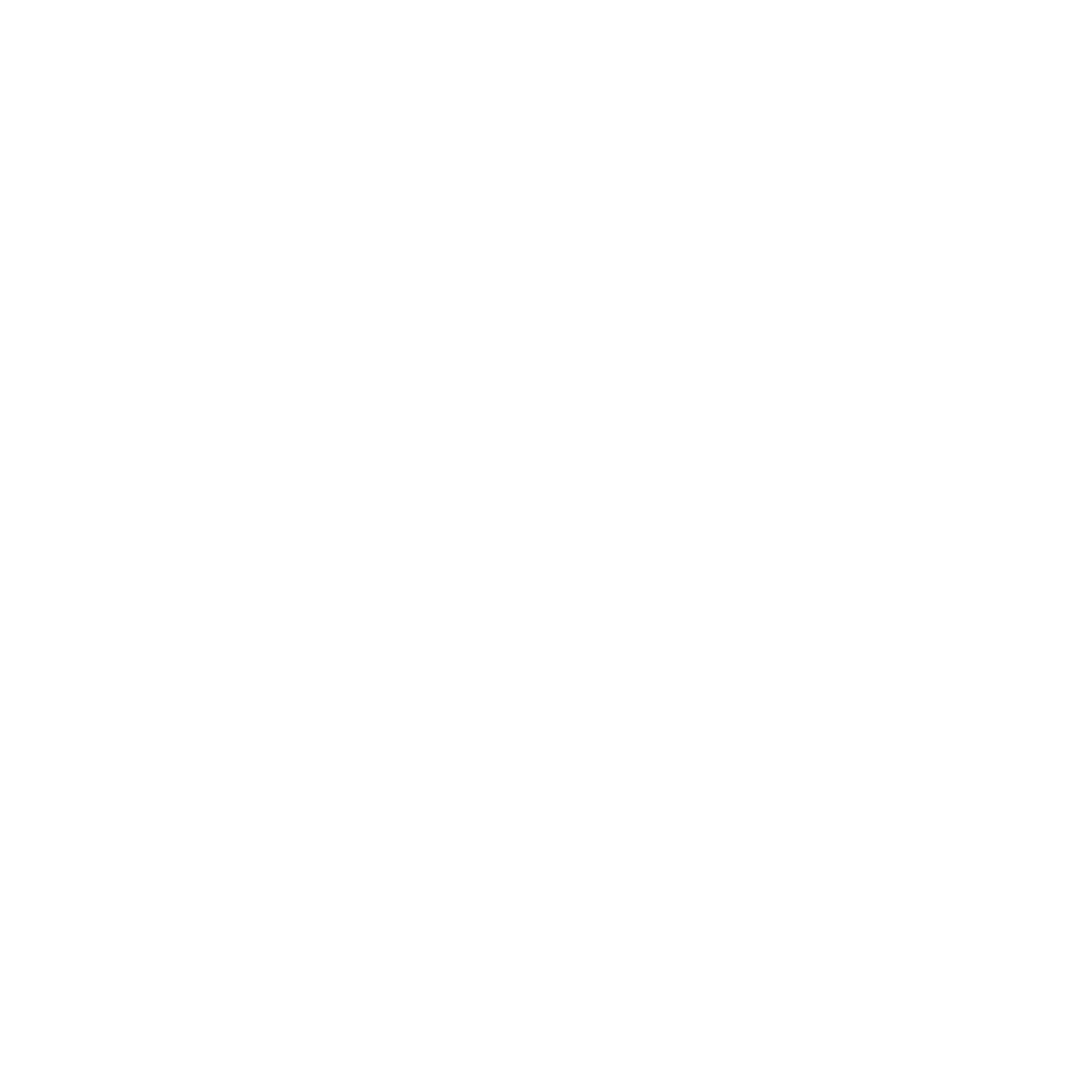 horse-icon-white-tm