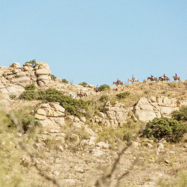 horse-riding-trail-02