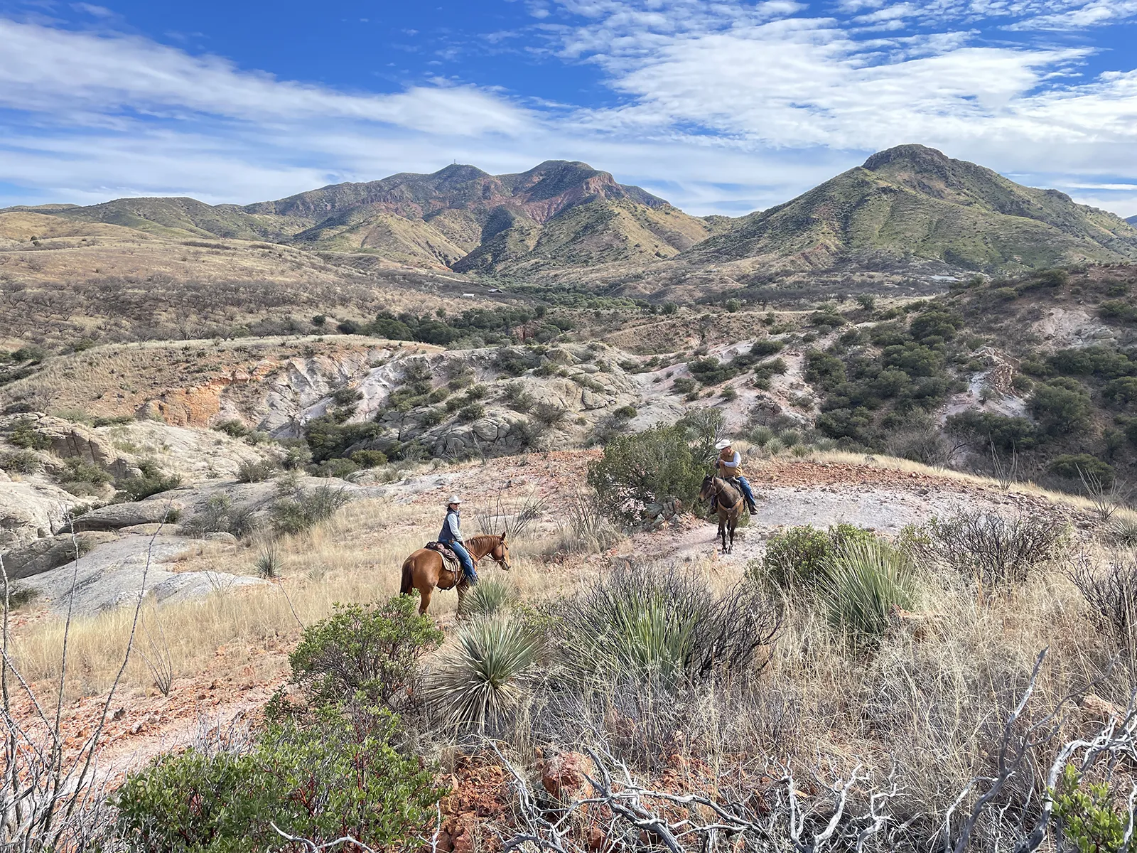 horseback-riding-at-circle-z-ranch
