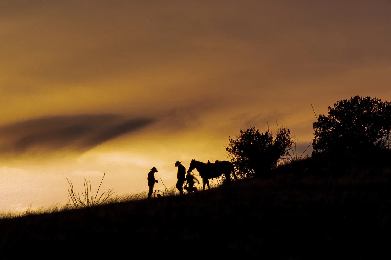 horseback-riding-trail-silhouette