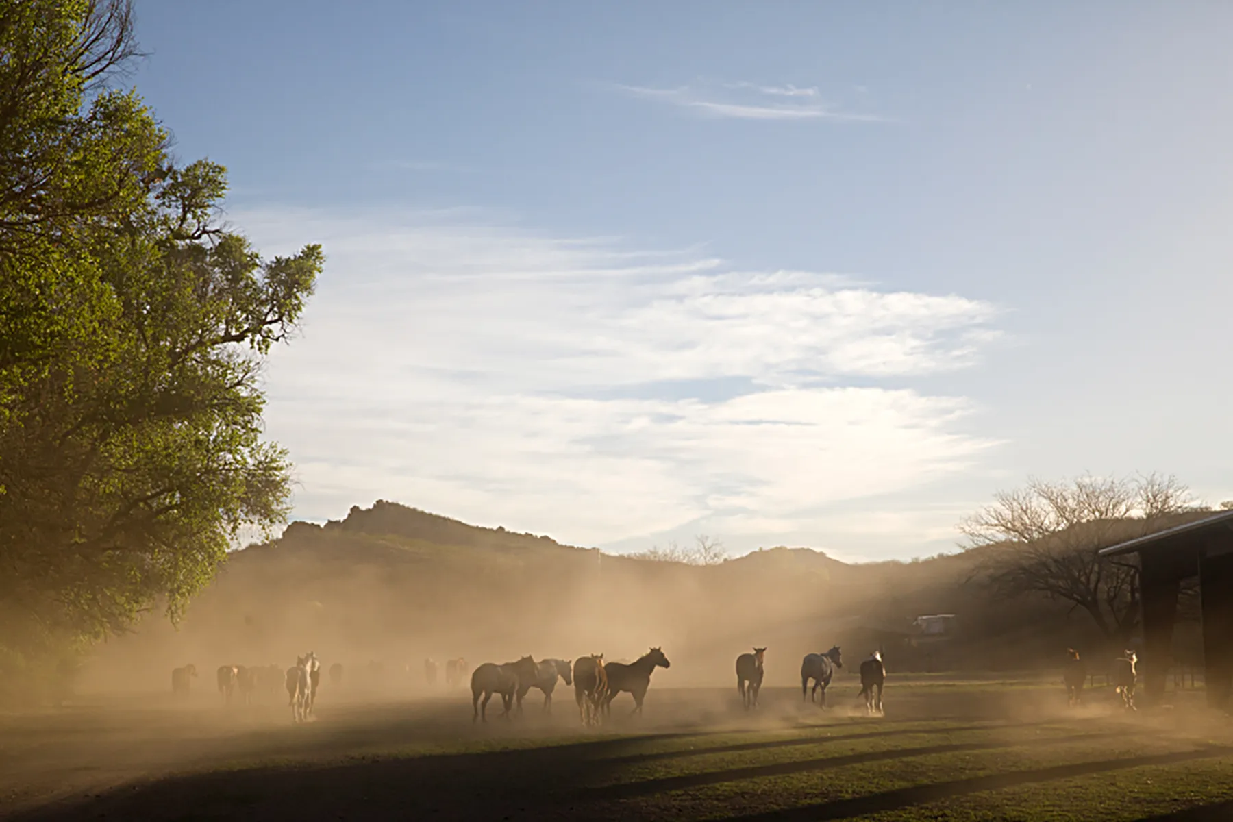 the-corrals-at-circle-z-ranch