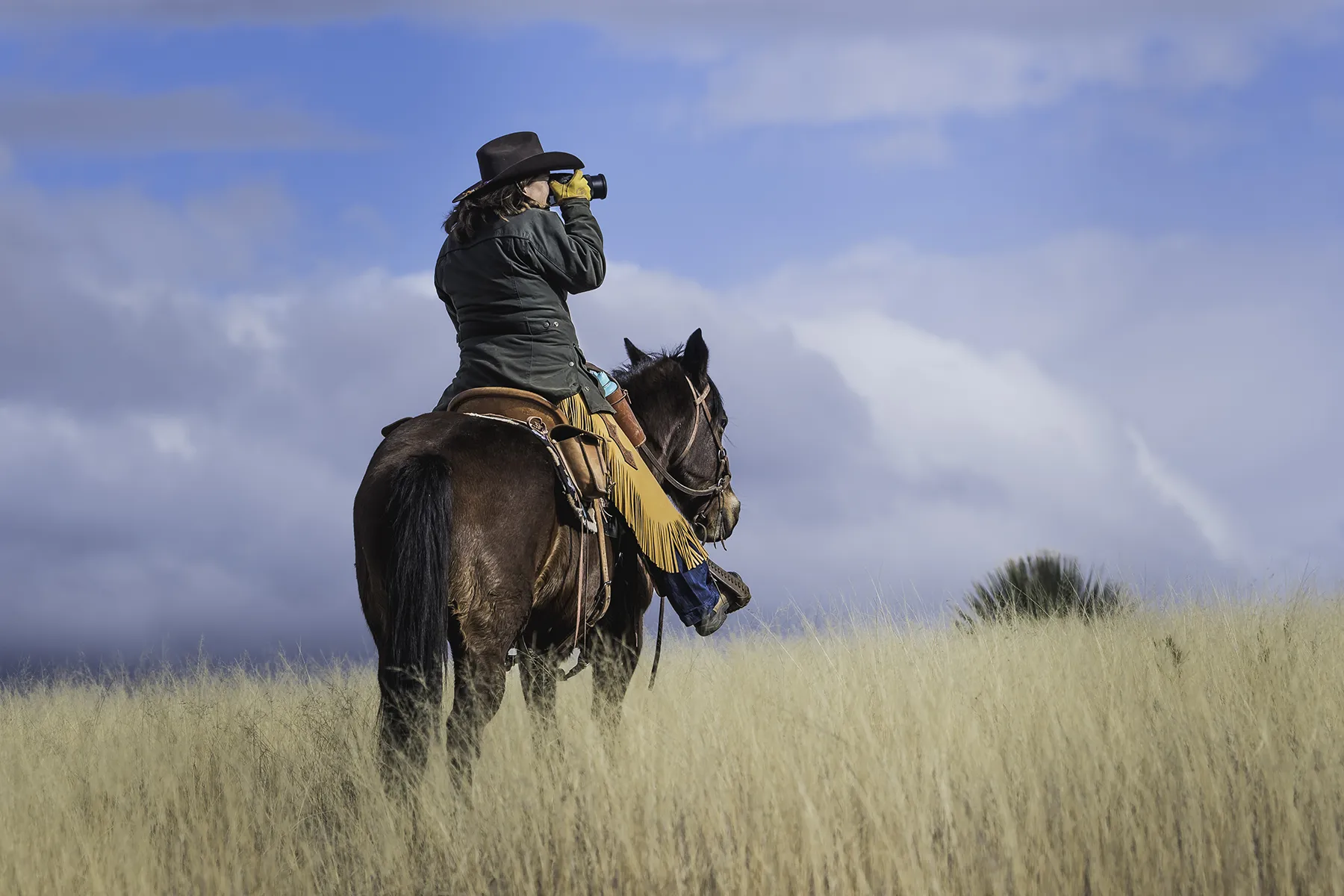 horseback-riding-DSC_2604